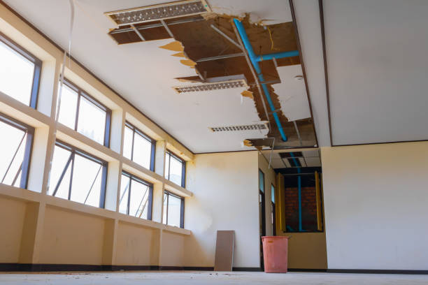 Reliable Quitman, MS Water damage restoration Solutions