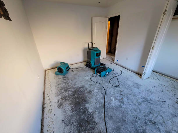 Best Water damage repair service  in Quitman, MS